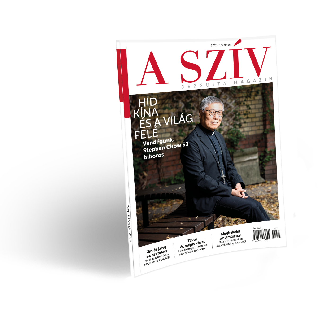A SZÍV 2025. november